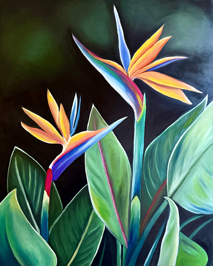 Bird of Paradise