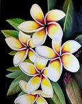 Frangipanis